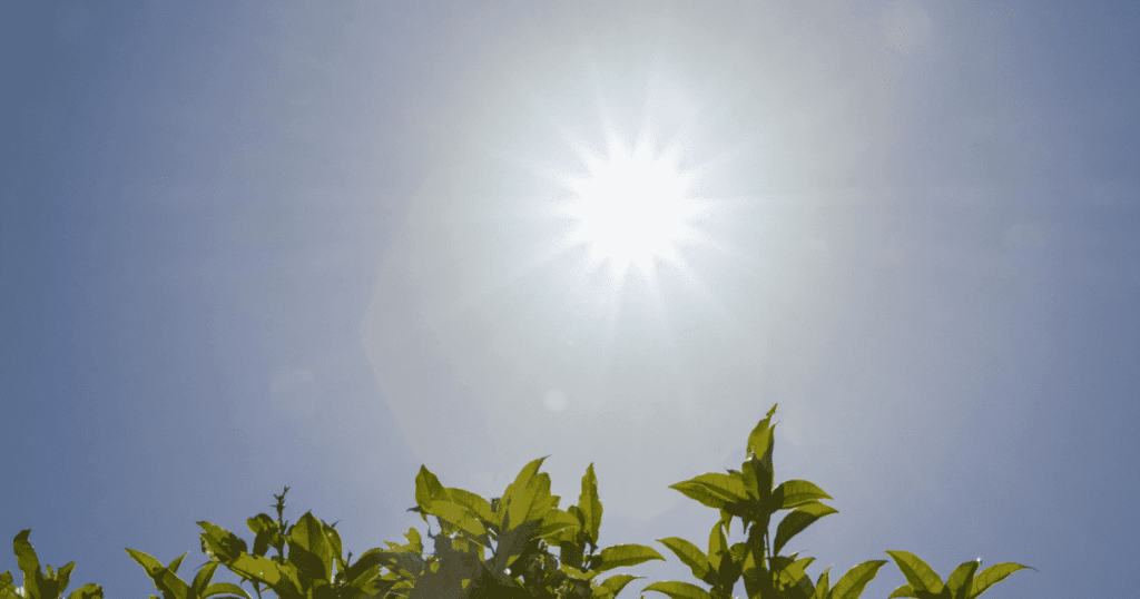 夏の強い日差しと青空